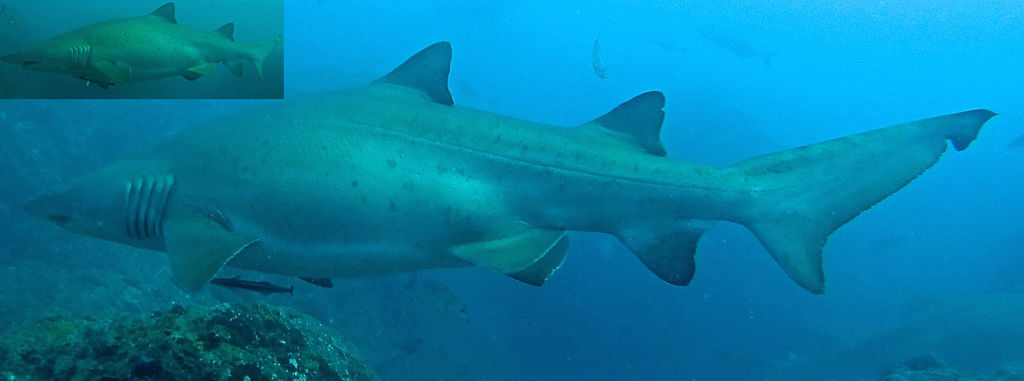 0af9197b-8ca9-48d9-9687-85b4bec92801