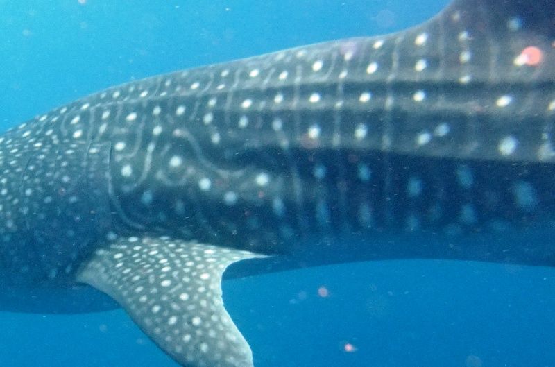 55eecf3d-d8b8-42d9-a253-40fb4b86b4fc