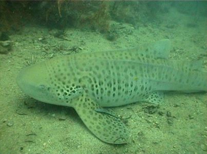 bd523bac-5c72-465d-adb9-7aca88af0728