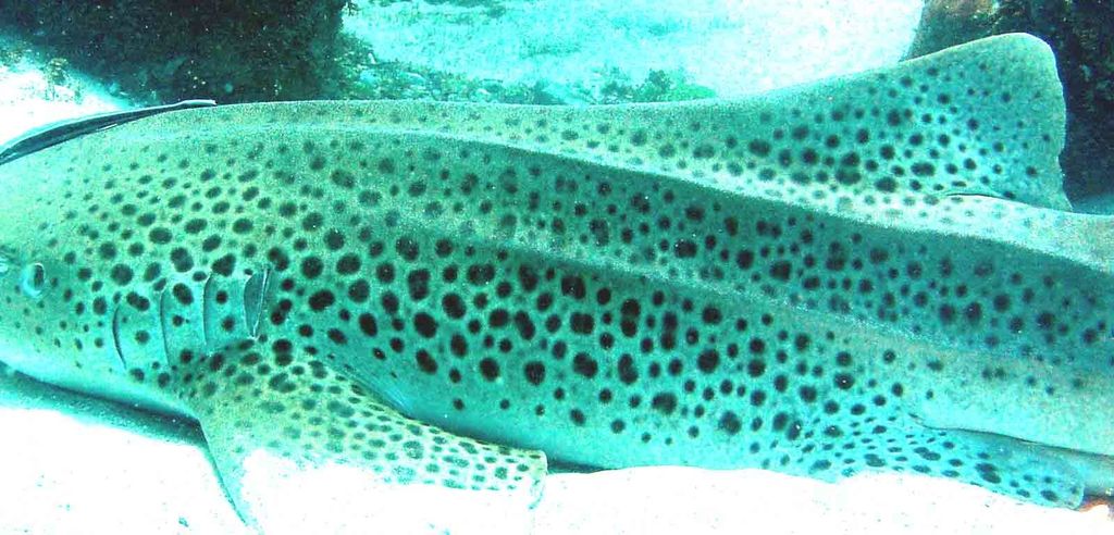 714d8c26-a87d-40fe-818a-2b1c8d23990b