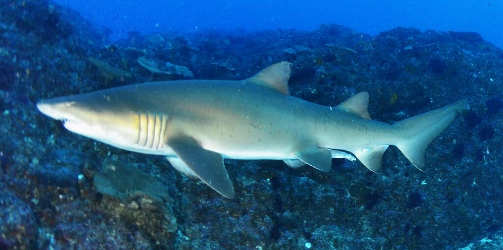 8cc6f721-0e35-458f-b24c-1124da6de703