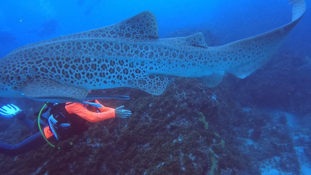 e6f69560-ed9f-413c-ae12-df20c9c1ba2a