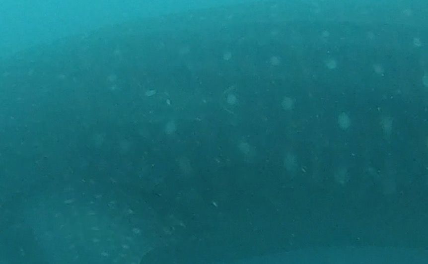 6dfae500-cb59-434f-aba6-e0f648e88eee