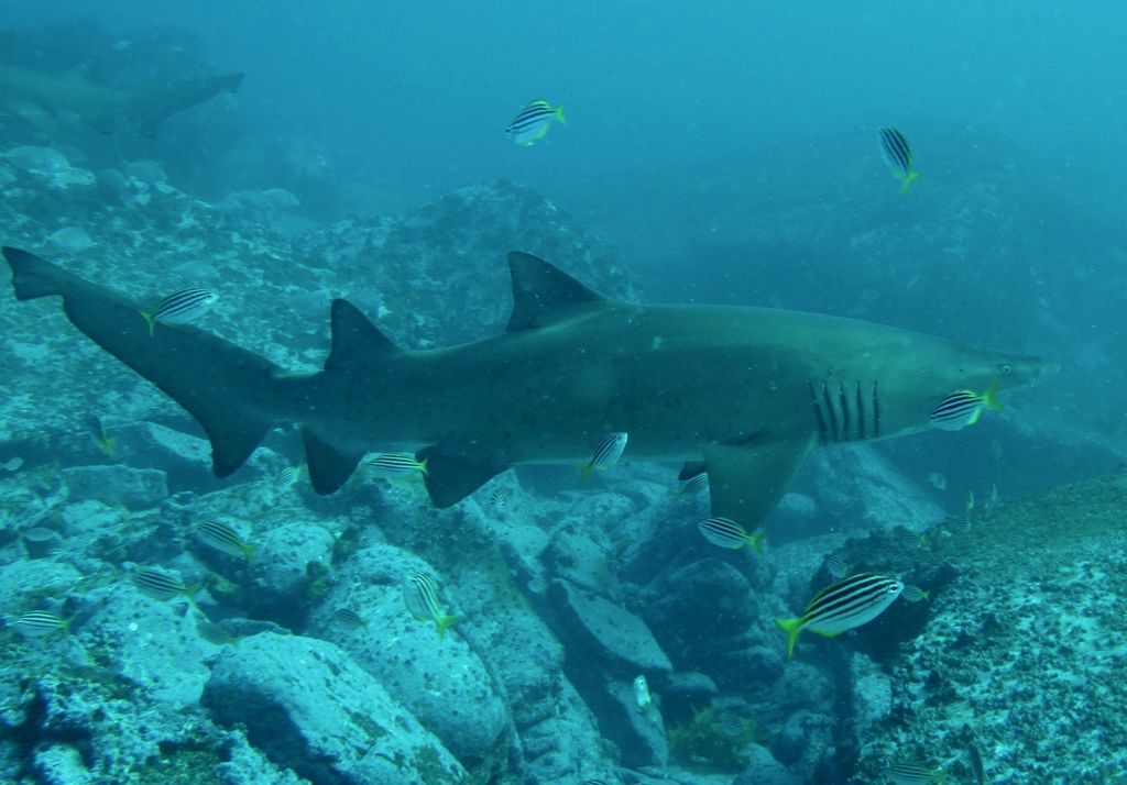 87c69c36-8435-44c0-ba05-a3ec5217bb8c