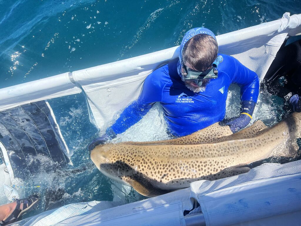 edbf7458-f1c6-424f-a2e9-d15ef91d76bd