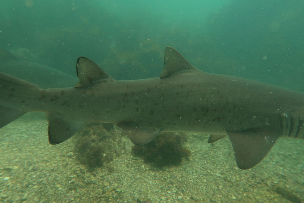 a0a8c8f6-d988-4e37-bb95-84b685602857