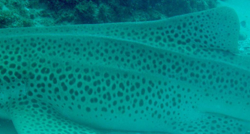 6701072e-d6ba-4bc1-9938-4d55009cb305