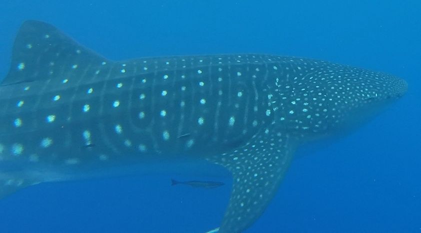 db2ca38d-f18c-40d5-b260-038cedeecdd5