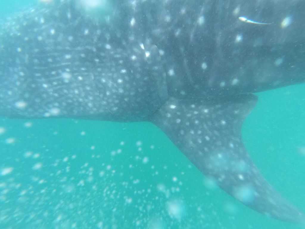 5437d9a6-cc41-421b-afbc-af4741ec90fa