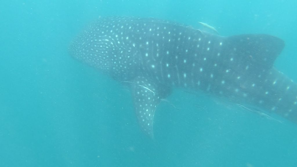 5437d9a6-cc41-421b-afbc-af4741ec90fa