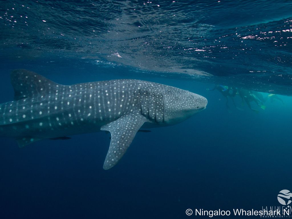 5f475aaa-c687-494b-8a22-b78f4680ea59