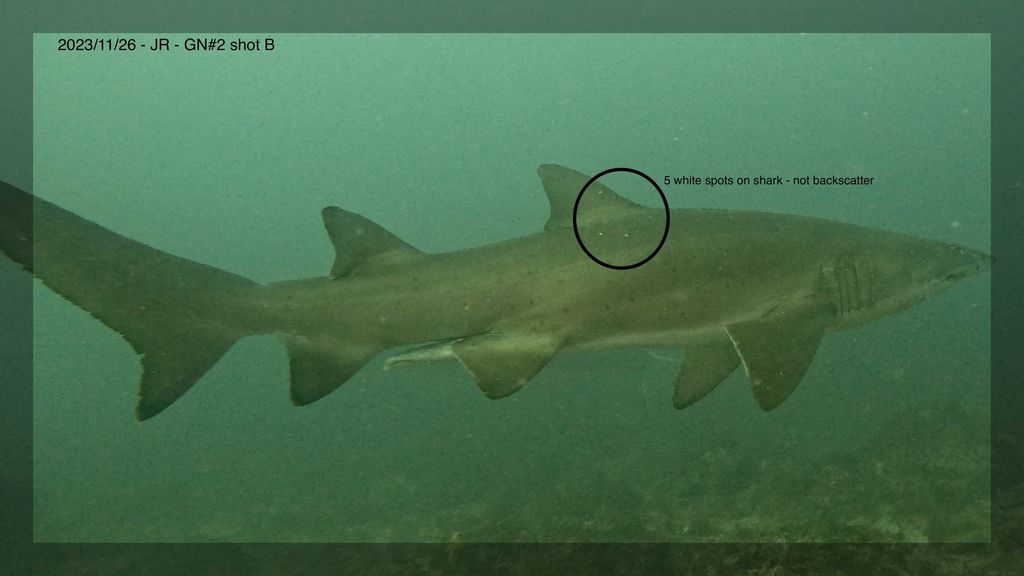 976db352-6197-45dc-9e08-c5b7598cf411