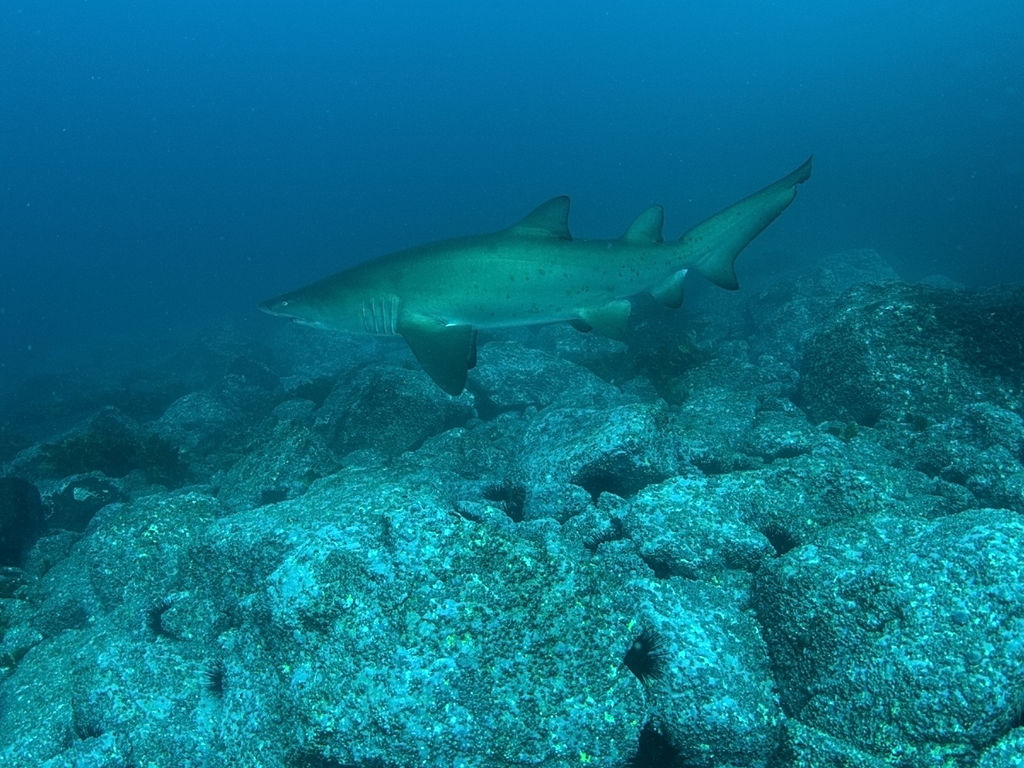 a7705062-3928-40de-9b24-a93861852552