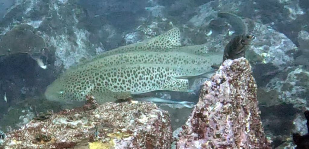 a13f2ac7-478b-43b3-87ea-4631171600e8