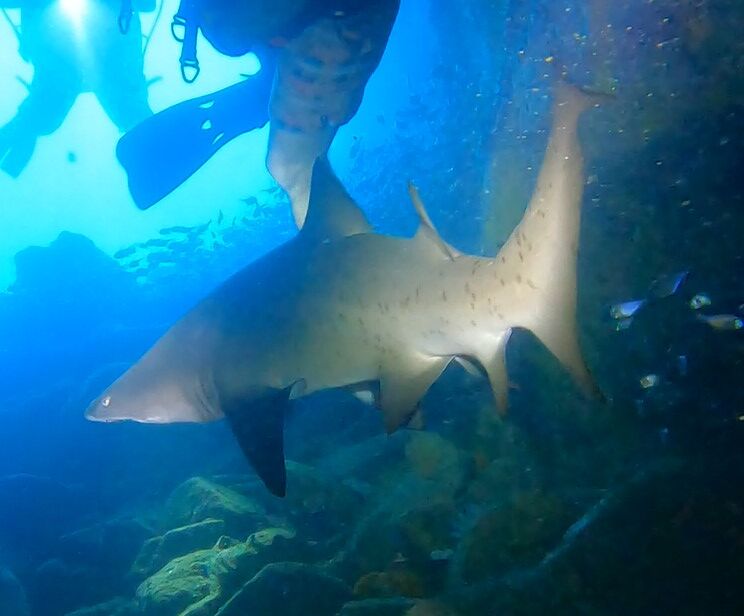 fd515a1a-f6cd-4c3c-b83a-6fd9376feac6