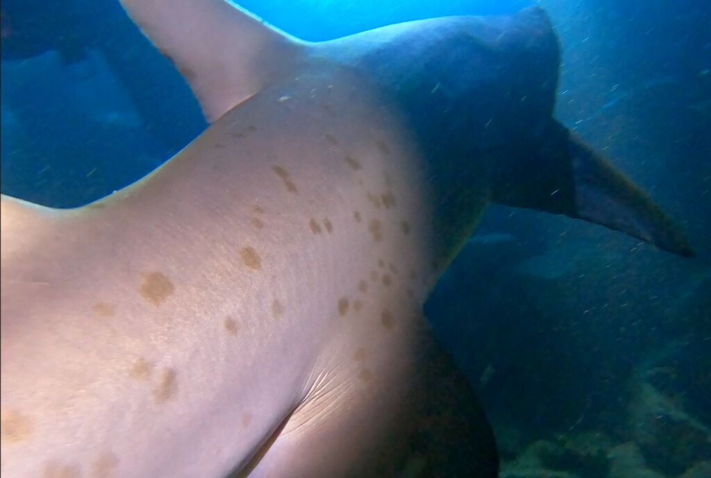 fd515a1a-f6cd-4c3c-b83a-6fd9376feac6