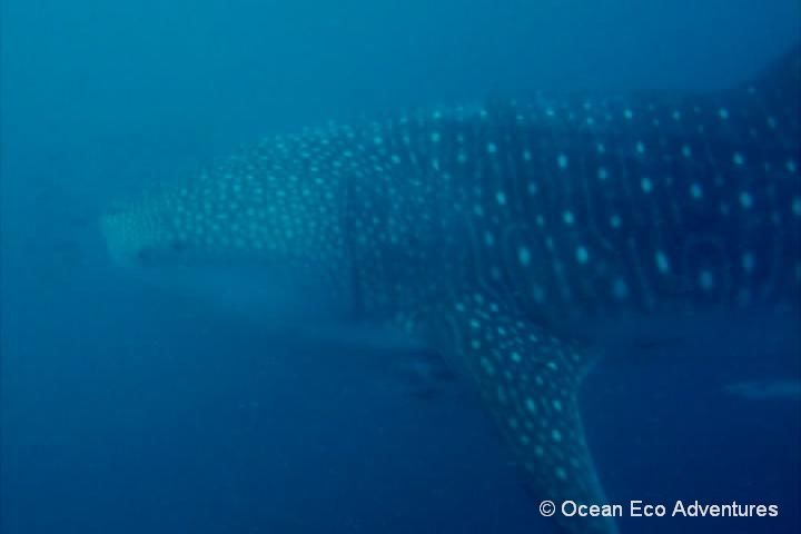 98dc1bce-5092-461f-ad9c-a196d614b926