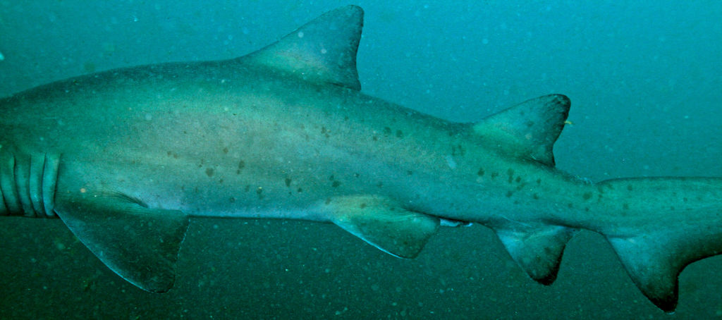 029042bc-0faf-49c4-aaba-bf6b5d503e48