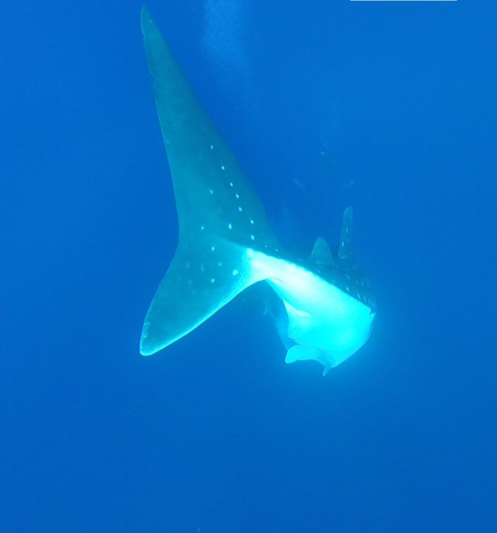 267d0f2b-471a-41e4-9fe1-344006943d9a