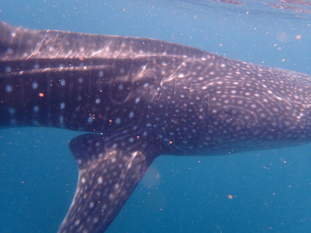 f9ea1481-ee49-46ac-8c96-1ff661b92a80