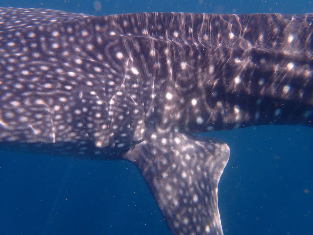 f9ea1481-ee49-46ac-8c96-1ff661b92a80