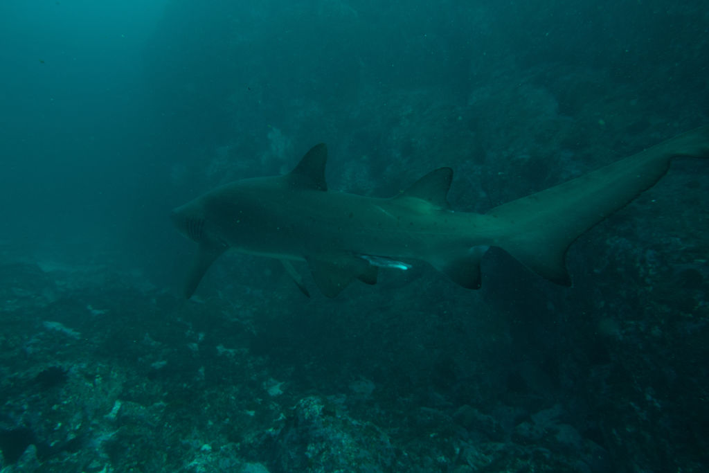 c5c92566-ec05-4a7c-a683-86a1f9fcc791