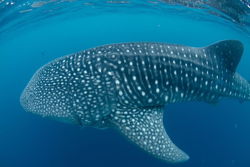 89238175-5fd9-4507-8415-09d15b943255