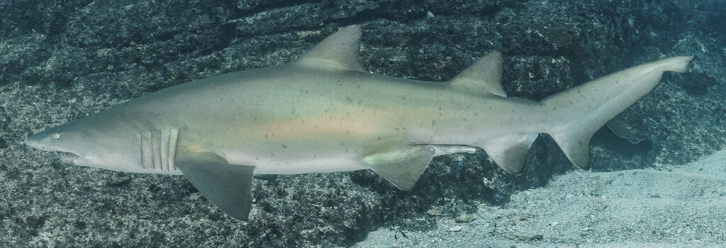 562bdf5c-ac2c-4d81-bad6-6c1dfb6a2ace