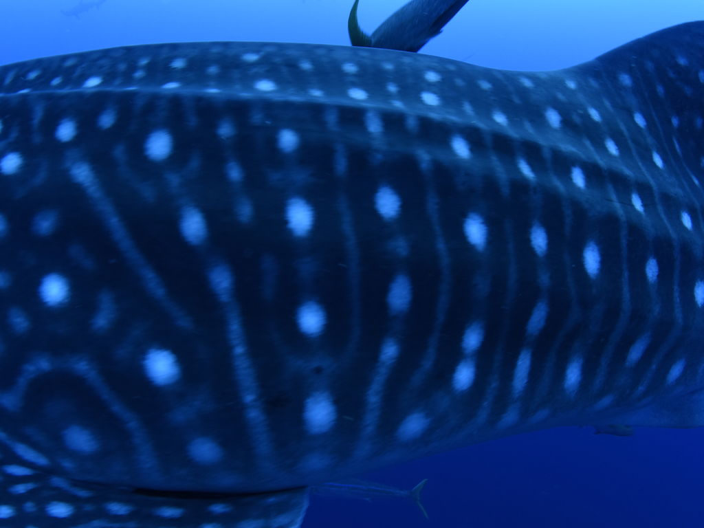 e39757ac-089c-494a-b074-e2ae02a995f3