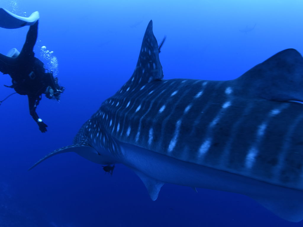 e39757ac-089c-494a-b074-e2ae02a995f3