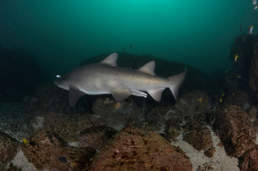 58610cb0-111d-4678-843d-ab4e928e2577