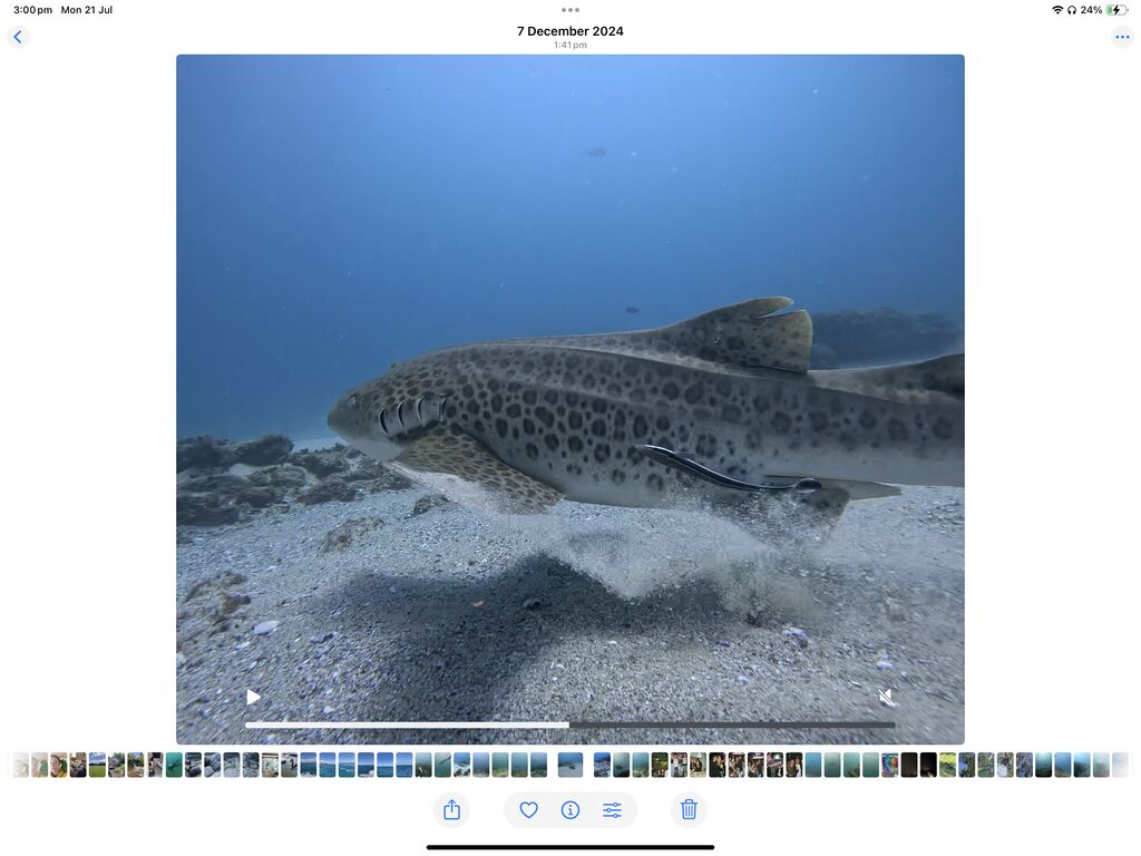 6fec3b51-1b88-4c8b-84f7-19bd193d672d