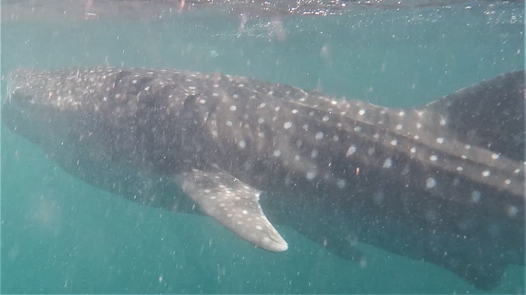 1f7596e4-d0d1-43fb-8c35-d10e7ec5a6ad