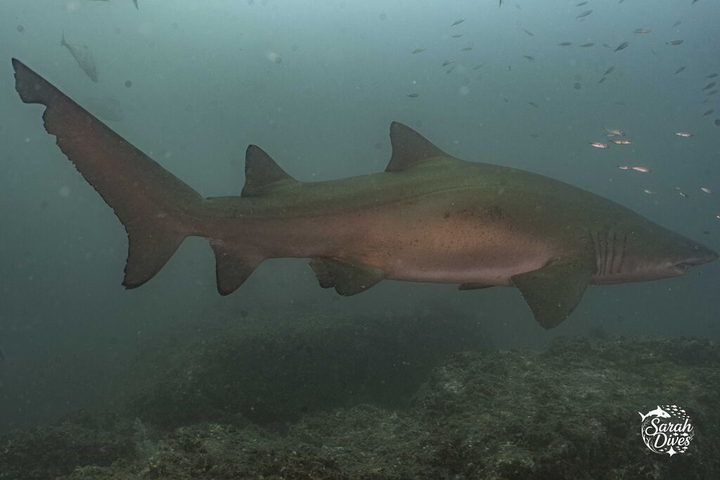 f50df1e7-4a79-40bc-860e-27adeeba150e