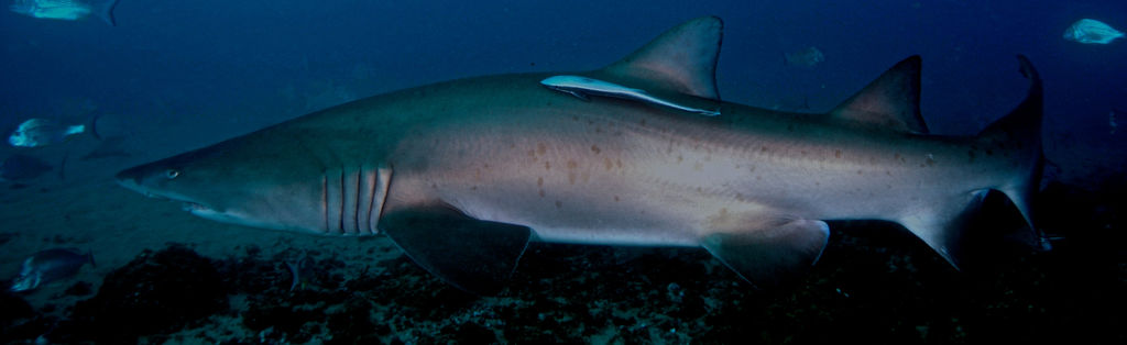 96d49936-afa2-4ddb-b9df-7ad0c3109f92