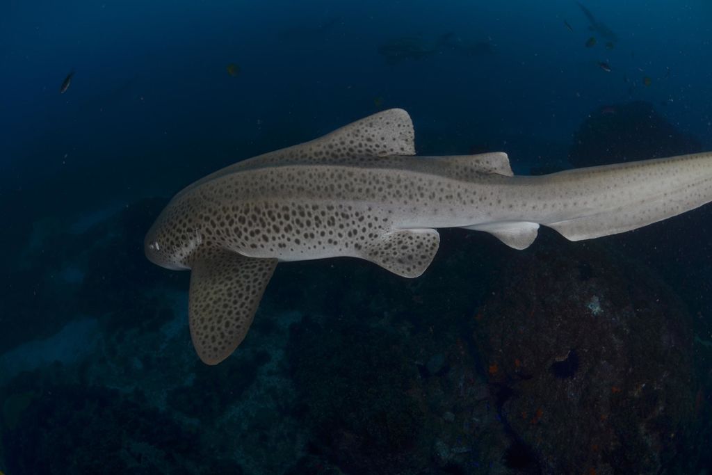 cce4b180-b5ee-4574-8409-13d462c241a6