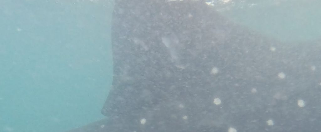 71cd50ce-27d2-4d04-890e-62be56b8e1a7