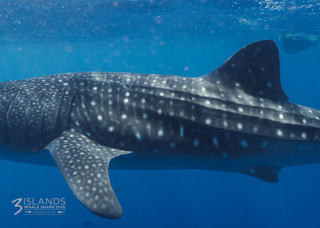 7772209d-ce5f-4016-8aa6-f816f8c00298