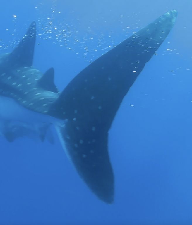 f46d3d36-5904-4f3c-9dae-119c46a90657