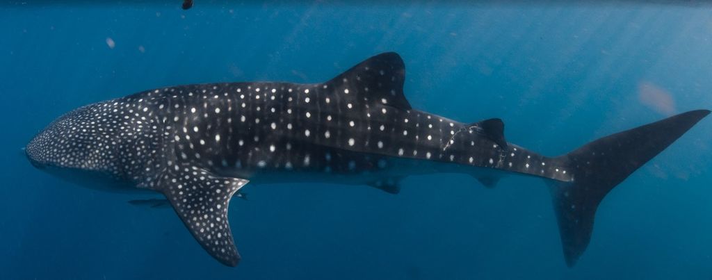 6c798163-ced9-4082-ab47-c1b3df2f0437