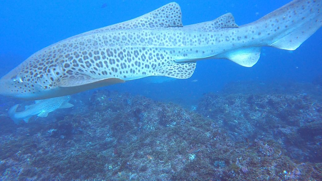 f364b09d-8fe5-495d-956d-f93f948dba0e