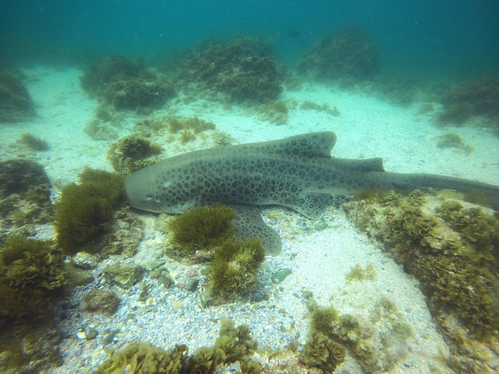 ed7820e4-3372-44bd-b2c2-b3a07b43f7cc