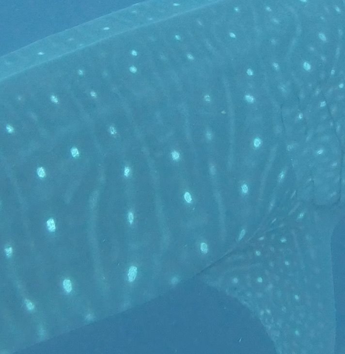 6e9e51e1-8c78-4d07-9522-d73b46e5d9ec