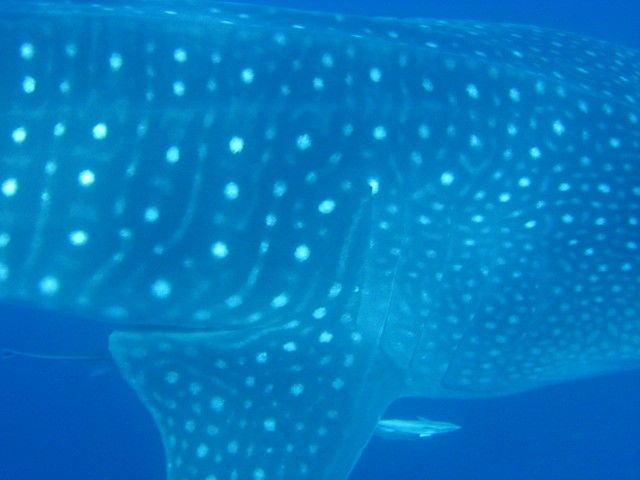 3c3a17c7-bbda-4169-a21b-dbed196118d0