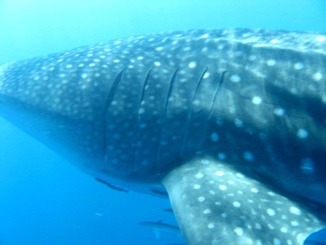 3c3a17c7-bbda-4169-a21b-dbed196118d0