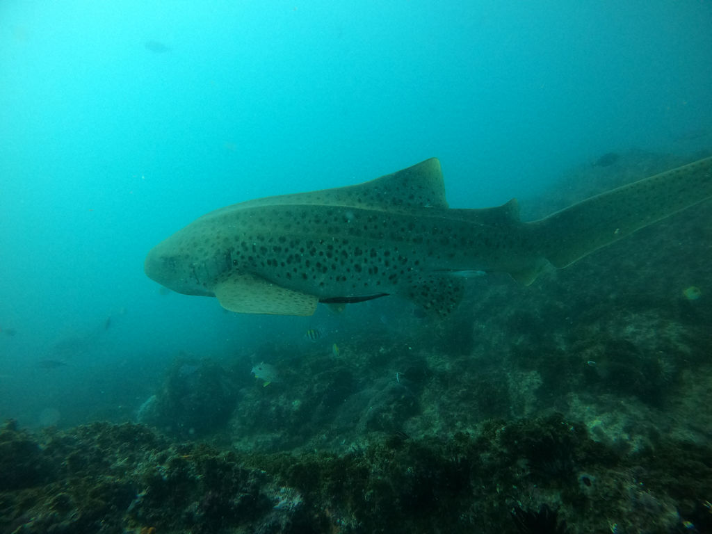 857bd346-5894-4420-b6de-5a64a11a324b