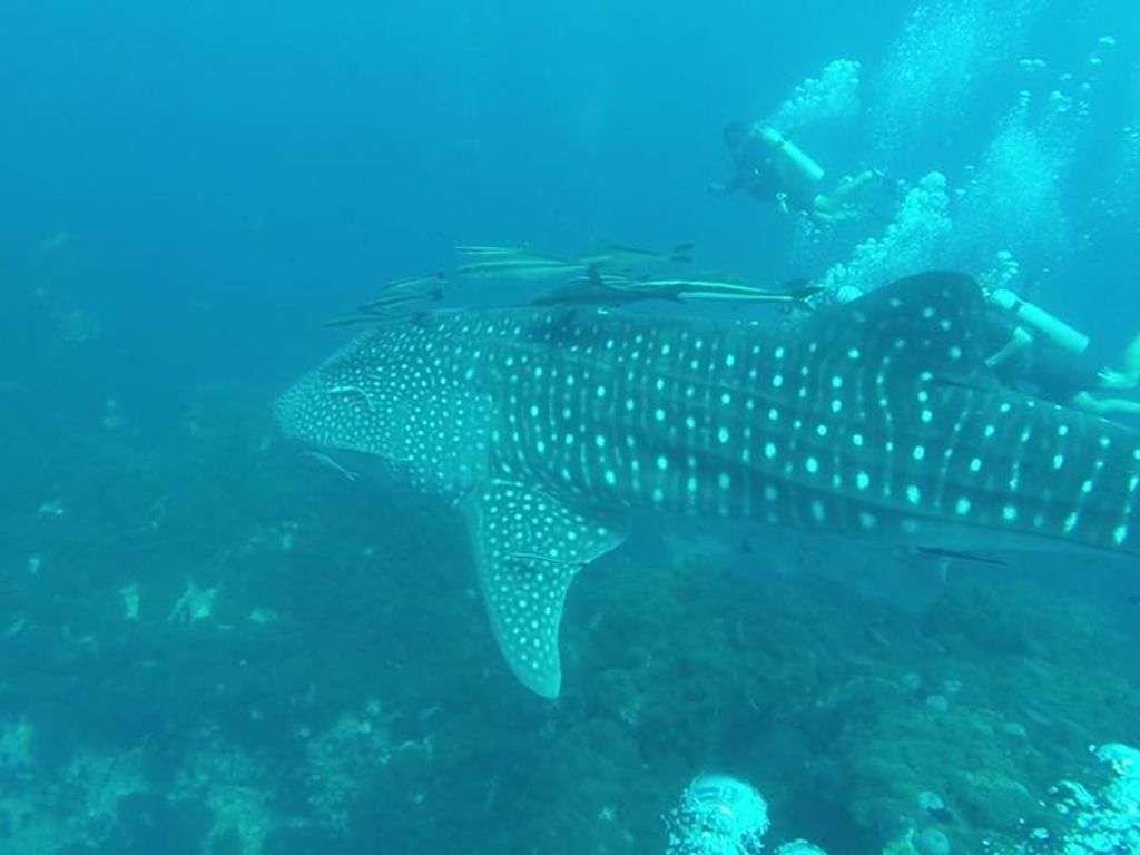 13bd98f1-10fe-4086-b0a4-71340c377cb1