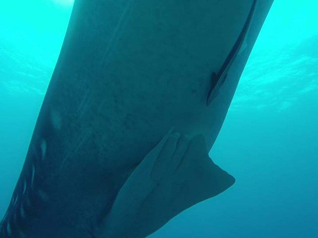 13bd98f1-10fe-4086-b0a4-71340c377cb1