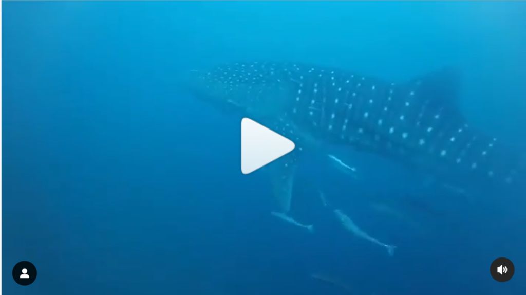 faf57370-23be-4eff-a8ce-a7af37aa2d0e