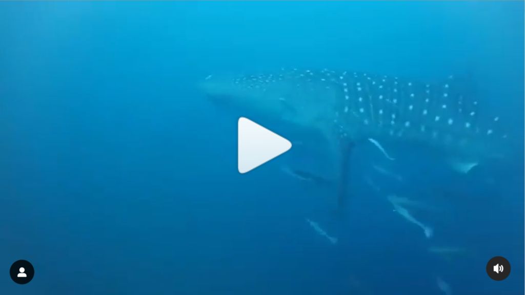 faf57370-23be-4eff-a8ce-a7af37aa2d0e